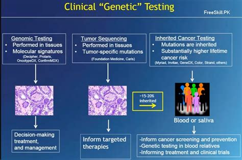 Types Of Genetic Testing Describe Briefly - FreeSkill