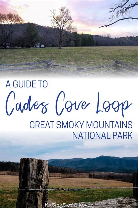 Driving the Cades Cove Loop Road: What You Need To Know