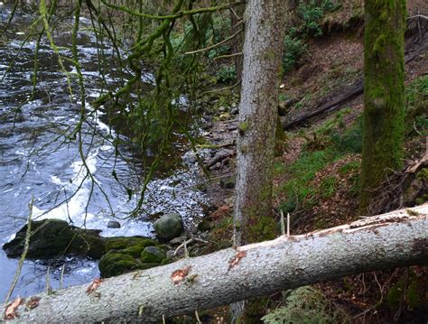 Tour Scotland: Tour Scotland Video Photographs Storm Damage Hermitage ...