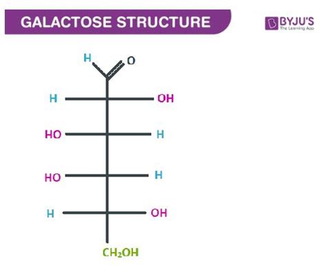 Glucose Vs Galactose Structure