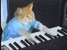 Cat Piano Music GIF - Cat Piano Music Enjoy - Discover & Share GIFs