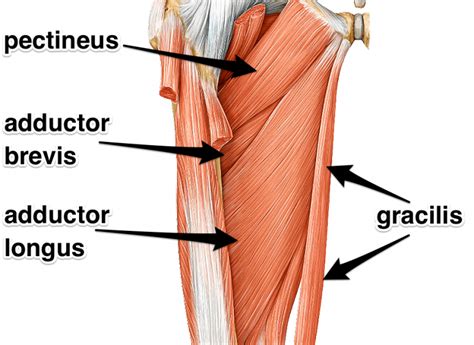 Adductor (Groin) Tear - Rehab On The Road