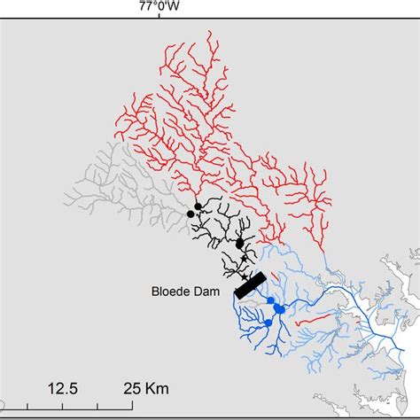 Maps of eDNA detections and eDNA abundance for Alewife (a) and Blueback ...