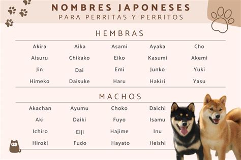 veneno práctico Humo nombres para perros en coreano y su significado ...