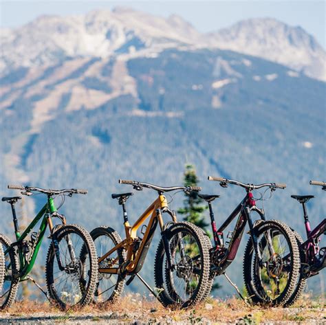 What Type of Mountain Bike Should You Buy in 2023?