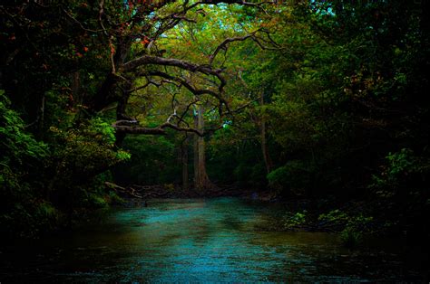 Dark Nature Wallpaper 4K - Nehru Memorial