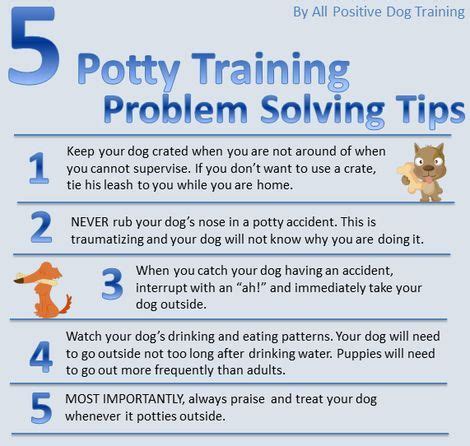 puppy potty training methods - Season Chapa