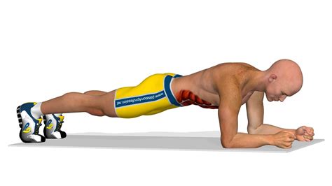 Benefits of planking everyday with plank exercise variations - Ausin