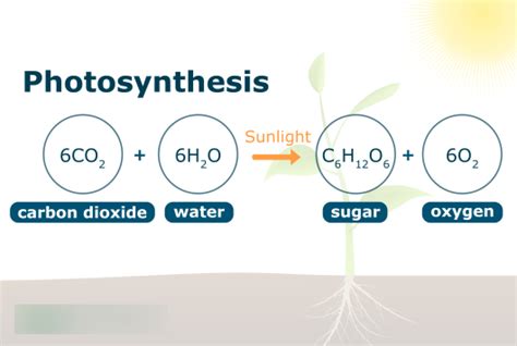 The Photosynthesis Equation Diagram with Annotations and a tip to ...