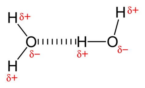 Hydrogen Bonding | Chemistry for Non-Majors