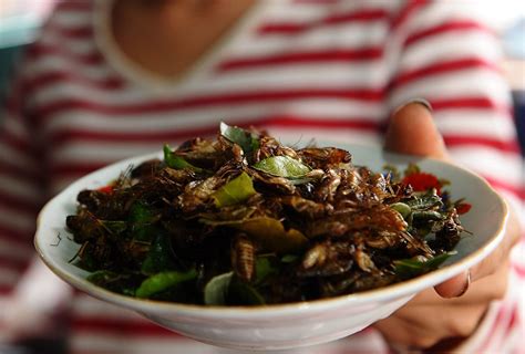 Crickets: They're What's for Dinner | KQED