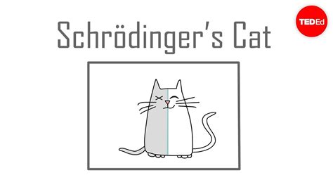 Schrödinger's cat: A thought experiment in quantum mechanics - Chad ...