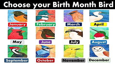 What Does Your Birth Month Bird Say About You? - YouTube