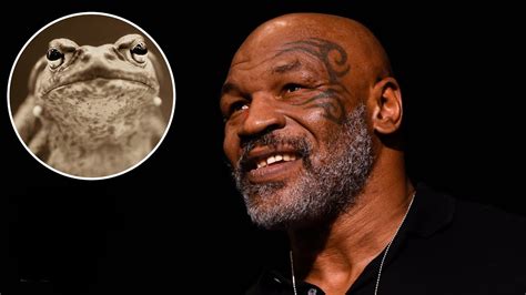 Mike Tyson ‘Died’ While Tripping On Psychedelic Toad Venom » Calfkicker.com