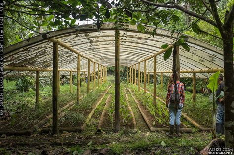 Plant Nursery Structure Build With Giant Bamboo, Ecuador | Plant ...