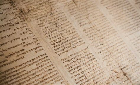 What Simchat Torah Can Teach Us About Jewish Diversity - Society for ...