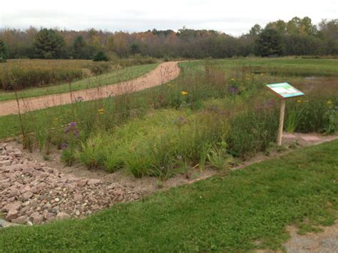 Rain Garden Examples | Northcentral Wisconsin Stormwater Coalition (NCWSC)