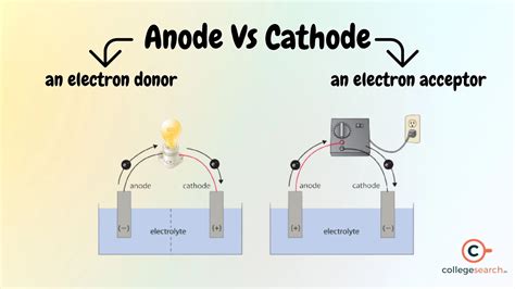 Cathode and Anode - Definition & Examples | CollegeSearch