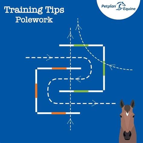 Polework | Horse jumping exercises, Horse training exercises, Horse ...