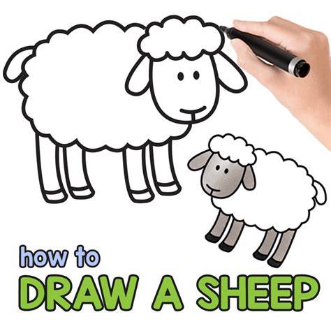 How To Draw A Cartoon Lamb - Documentride5