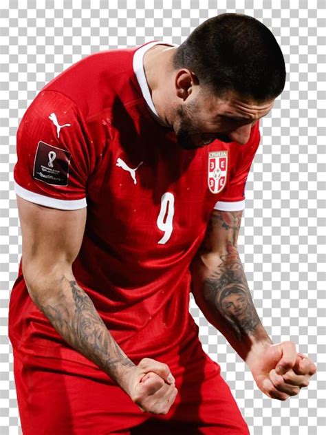 Download Aleksandar Mitrovic transparent png render free. Serbia ...