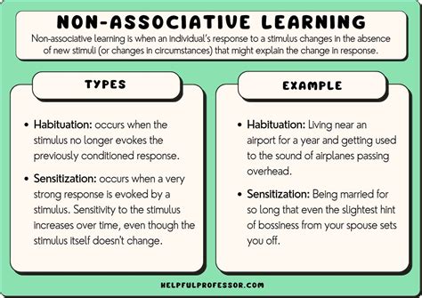 14 Non-Associative Learning Examples (2024)