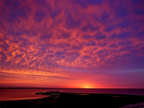 Pink Clouds Blue Sky Sunset Photograph by Virginia Forbes - Pixels