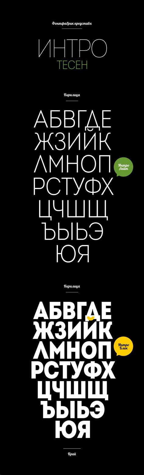 DOWNLOAD: Intro Font - at Fontfabric™ | Signature fonts, Typography ...