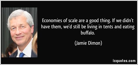 Jamie Dimon Quotes. QuotesGram