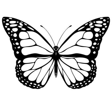 Simple Butterfly Drawing at GetDrawings | Free download