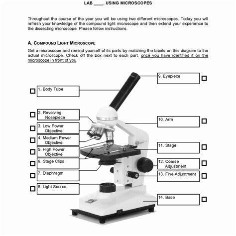 Microscope Parts Reading - Orla Owen