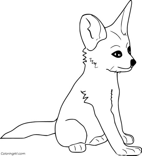 31 free printable Fennec Fox coloring pages in vector format, easy to ...