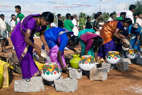 The Many Pongals of the Tamil People – Ilankai Tamil Sangam