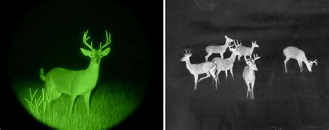 What are Digital Day/Night Optics vs. Thermal Imaging Cameras?