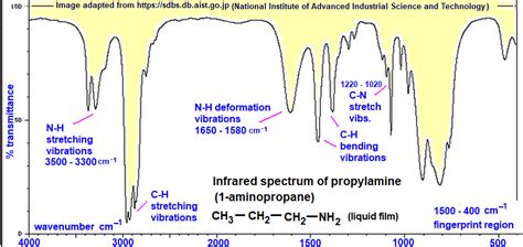 infrared spectrum of propylamine prominent wavenumbers cm-1 detecting ...