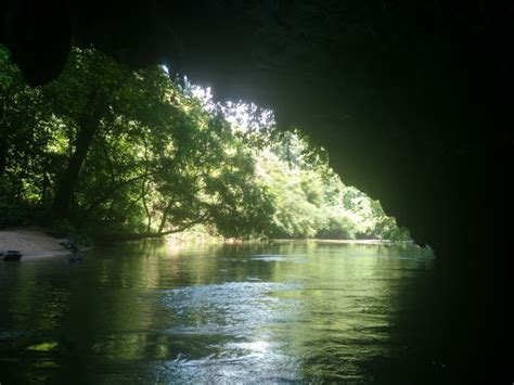 CXLI: Rio Claro river reserve