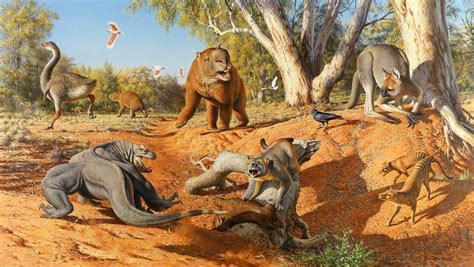 Humans Caused Extinction of Australia’s Prehistoric Giant Animals: New ...