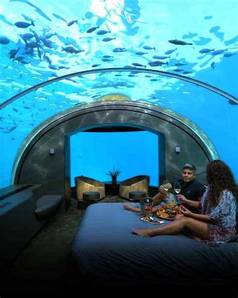 The Conrad Maldives Rangali Island hotel underwater villa. One night's ...