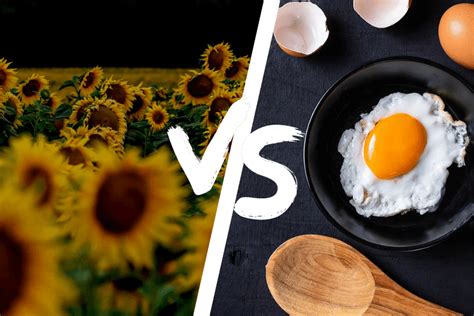 Alpha GPC vs CDP Choline - Which Is Better for Your Brain? – Marco's ...