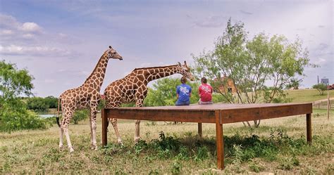 This Texas Ranch Let's You Watch Wildlife From Your Porch