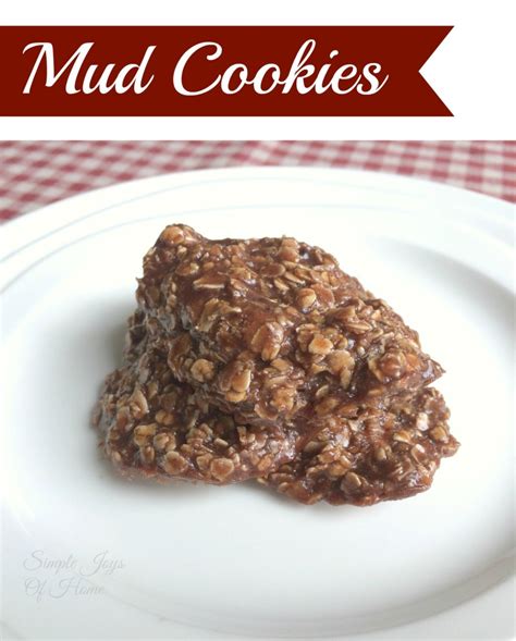 No-Bake Mud Cookies - Simple Joys Of Home