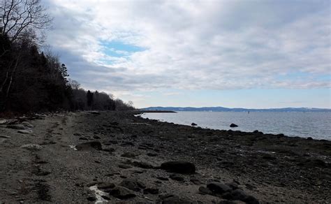 Hiking in Maine with Kelley: 1/30/16 Sears Island