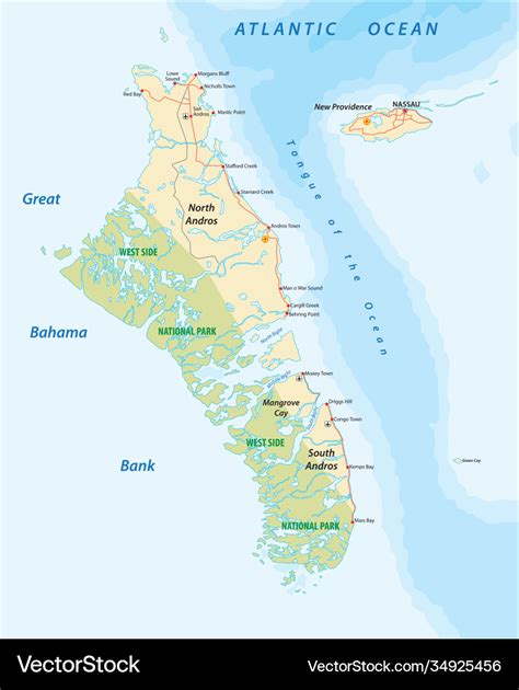 Map andros island and new providence bahamas Vector Image