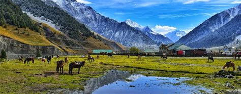 Pahalgam, Jammu and Kashmir - Authentic India Tours