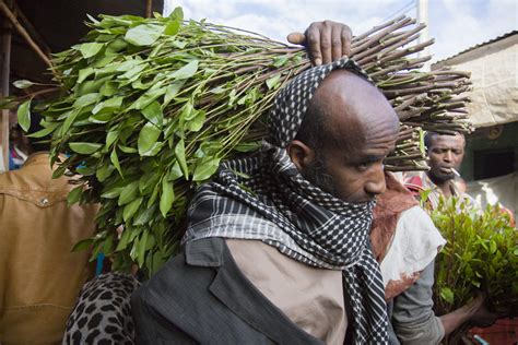 Awaday Khat Market (Ethiopia) — diane durongpisitkul