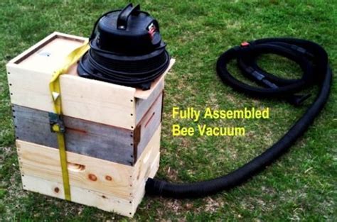 Bee Vacuum diy | Beekeeping | Pinterest