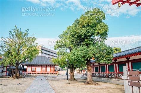 Shitennoji Temple traditional architecture in Osaka, Japan 이미지 ...