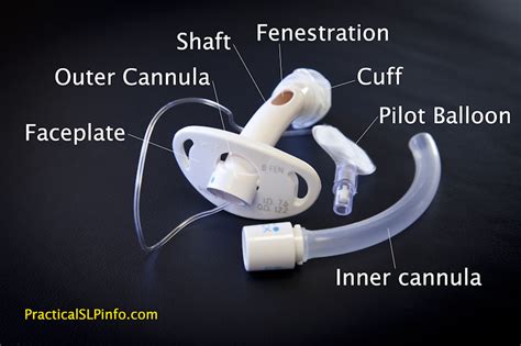 Trach Tube Anatomy - Advanced Head & Neck Rehabilitation Center of Texas