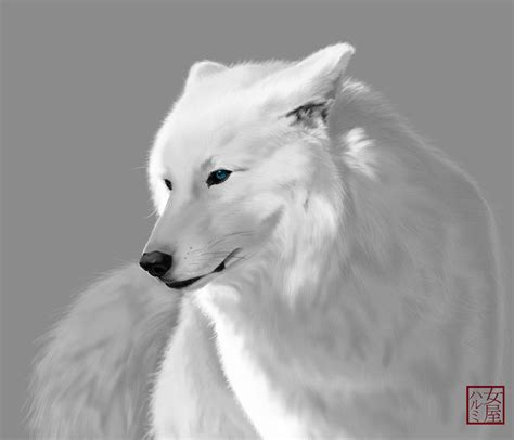 White Wolf by Uchiha-Harumi on DeviantArt