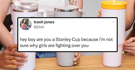 20+ Funny Stanley Cup Memes To Keep You Sipping And Smirking Through ...